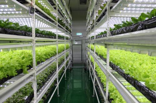 智慧農業事業部